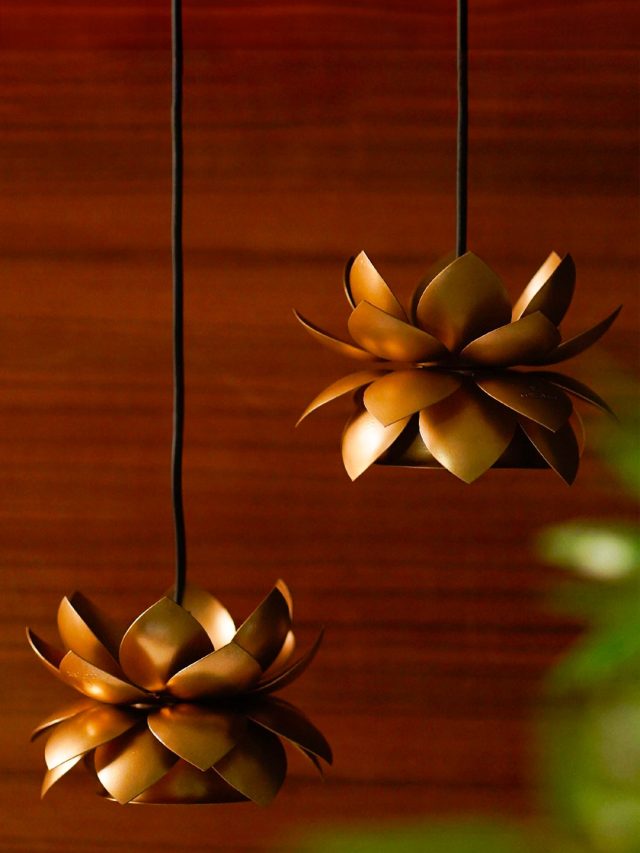 Thanksgiving Decor Ideas | Aza Fashions