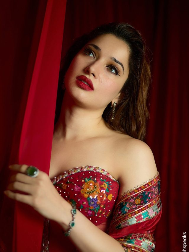 Tamannah Bhatia Standout Desi Girl Moments Poster Image