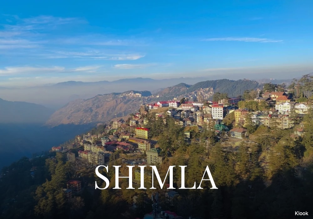 Shimla