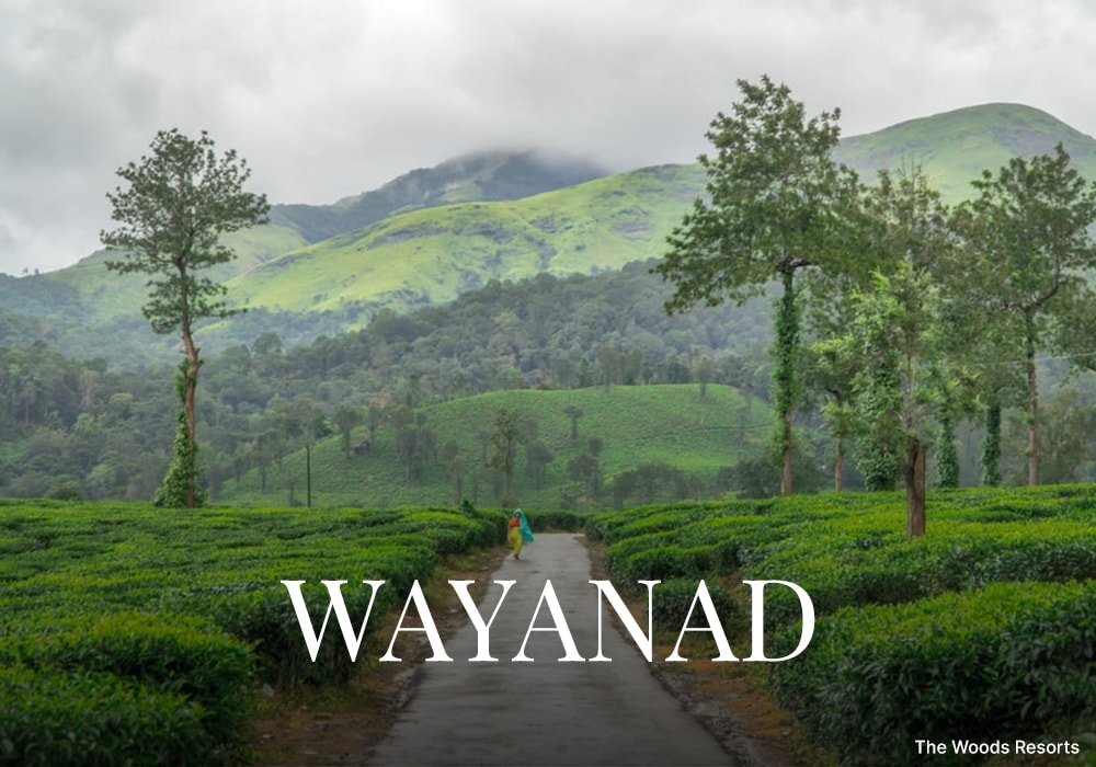 Wayanad