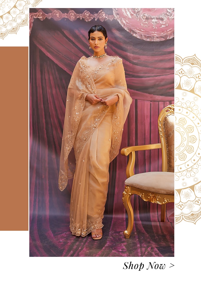 Gold tissue saree