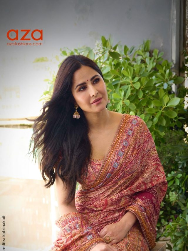 Katrina Kaif wearing a Kashida-inspired Tarun TAHILIANI SAREE