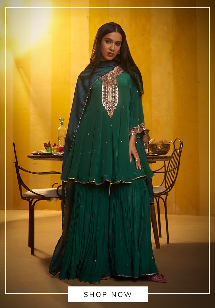 Capricorn: The Classic Authoritarian (December 22 - January 19)