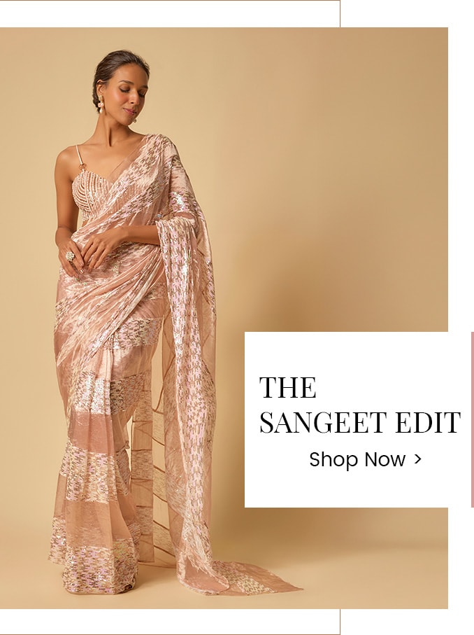 Model wearing a shimmering saree