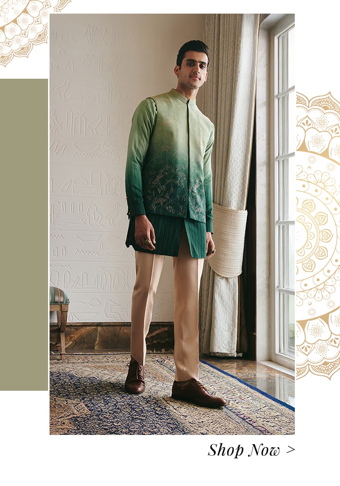 ombre zari embroidered silk Bundi 