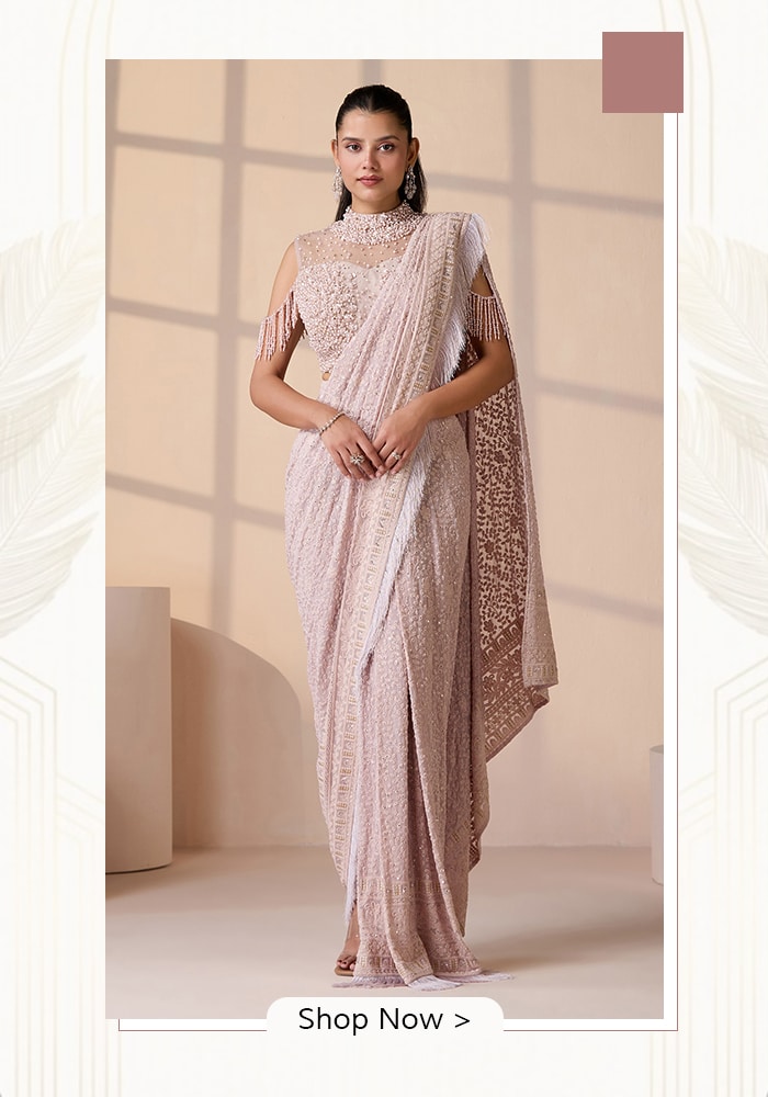 Silver saree gown