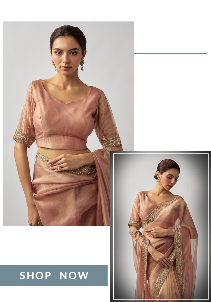 Embroidered Tissue Saree Blouse Design