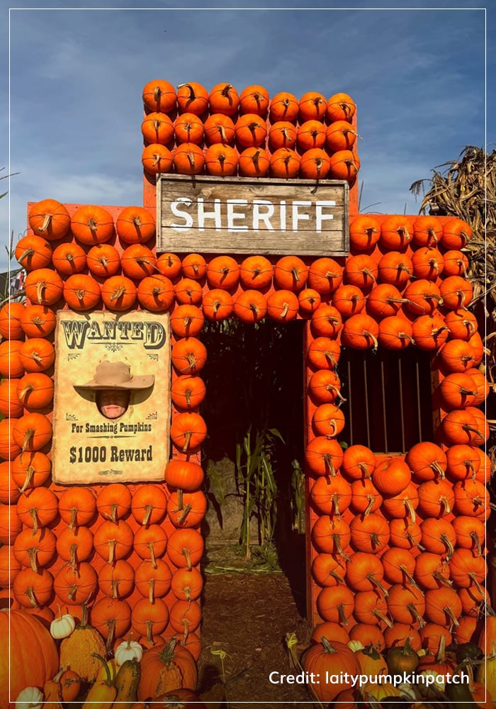 Pumpkin patch in Ontario