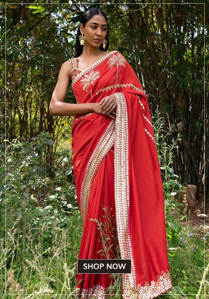 Chanderi Saree - Madhya Pradesh