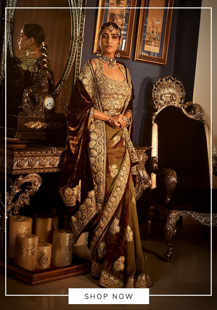 Brown and olive green velvet saree