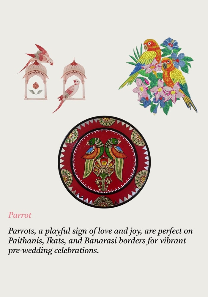 8. The Parrot: Love and Courtship 