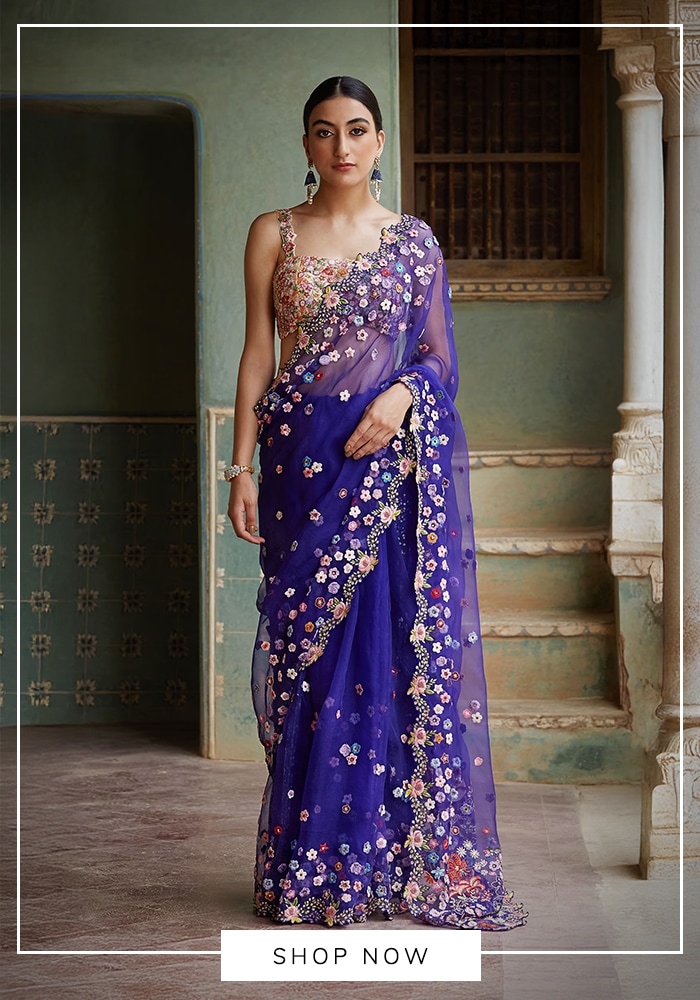 Rahul Mishra sarees