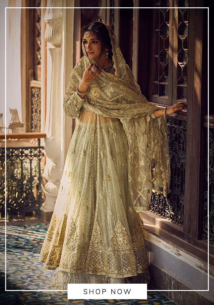 Anarkali lehenga
