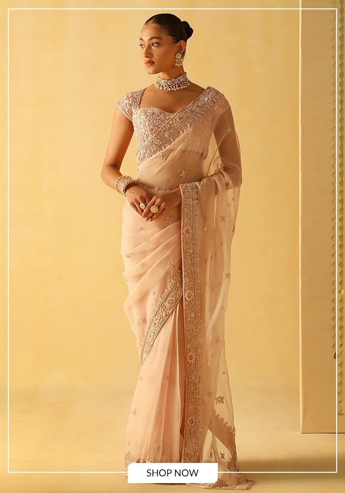 Ethereal Sheer Saree