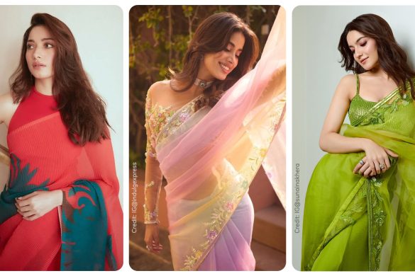 Types of Organza Sarees
