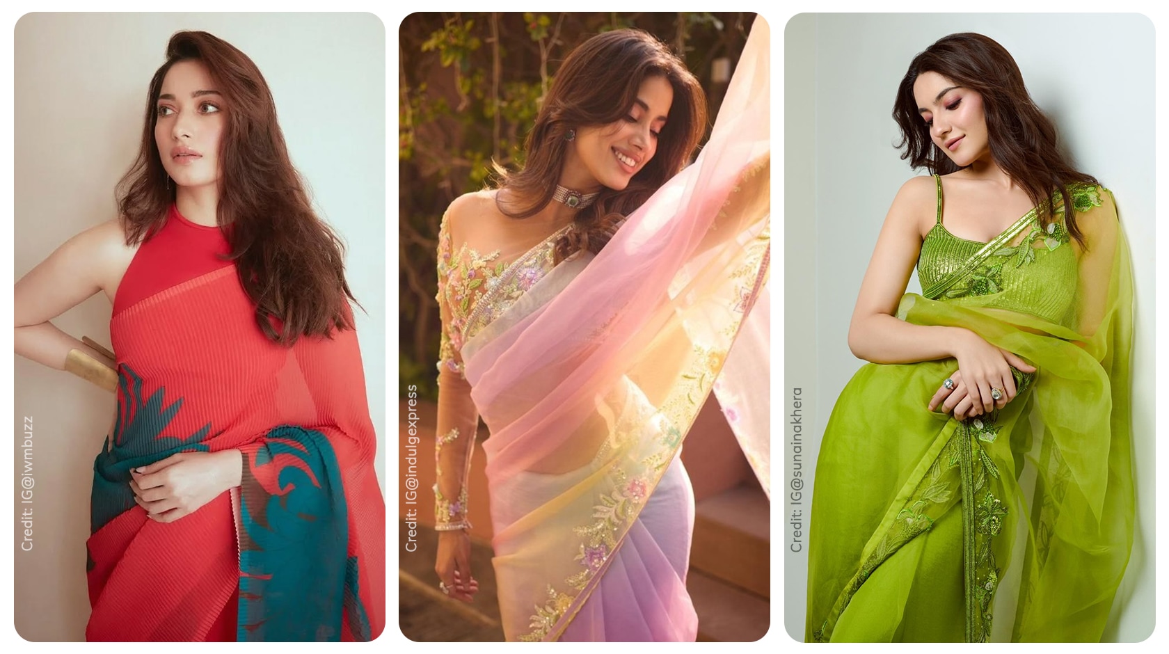 Types of Organza Sarees