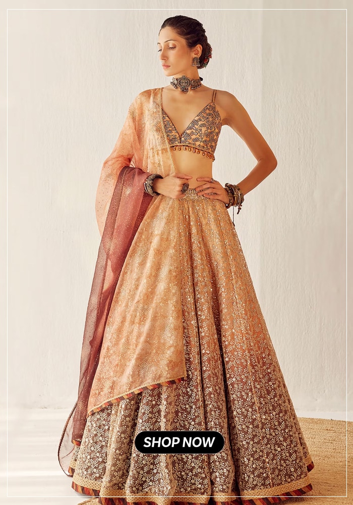 Gold embroidered lehenga set