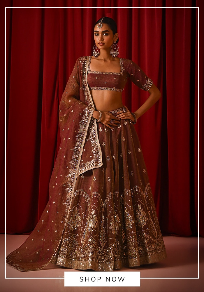 Matcha brown embellished lehenga blouse and dupatta