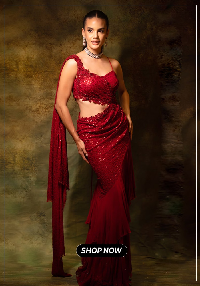 Red cutwork mermaid saree