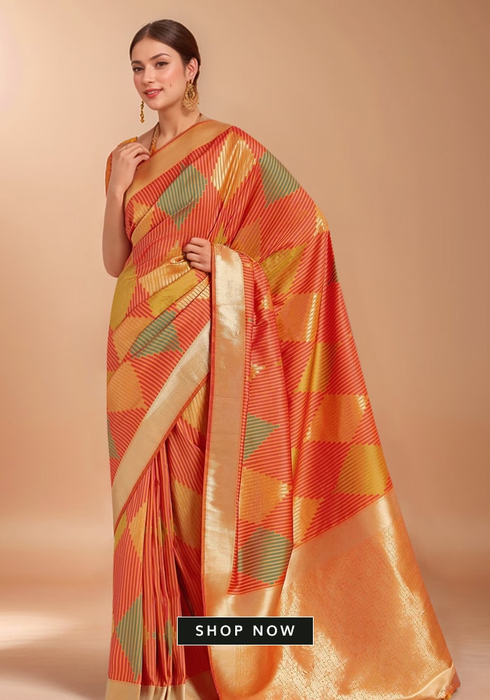 Orange Patterned Saree