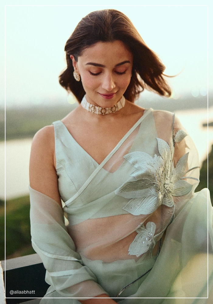 Closer look at Alia Bhatt's Saree