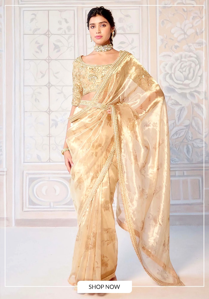 Block Printed Tissue Saree