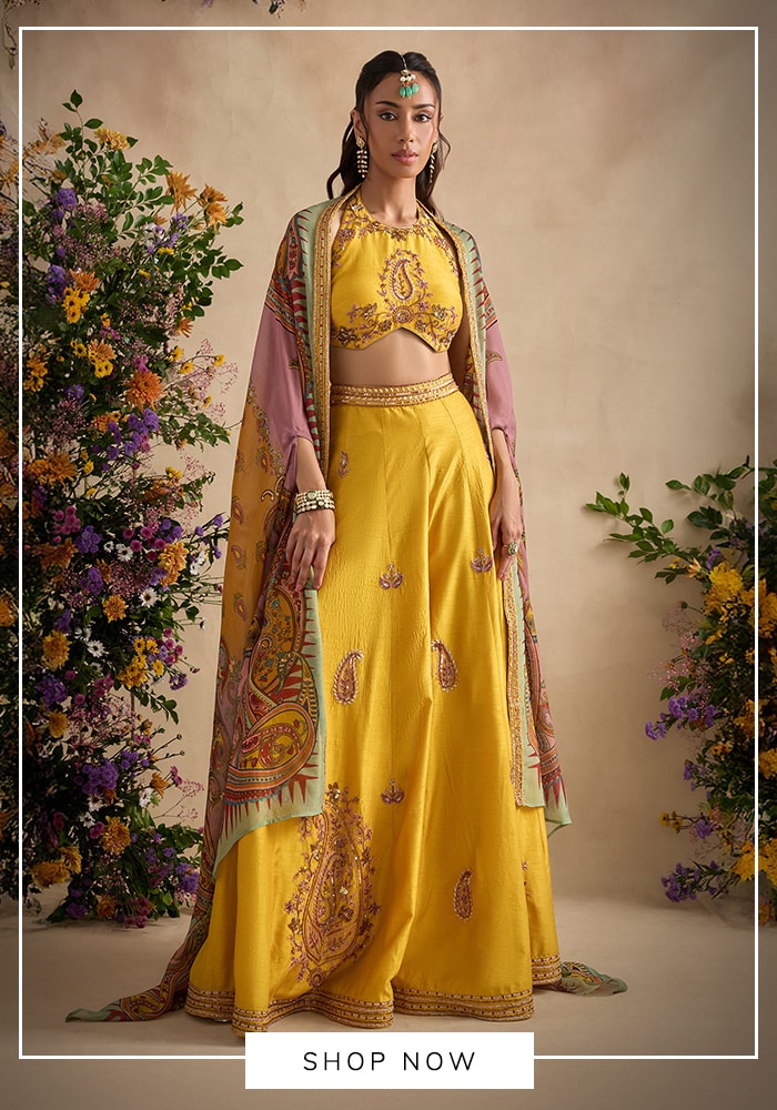 Indo-Western Fusion Looks 