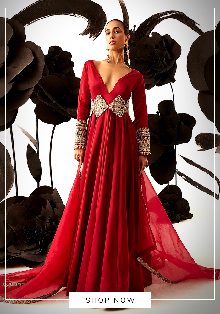 Embroidered sleeves anarkali