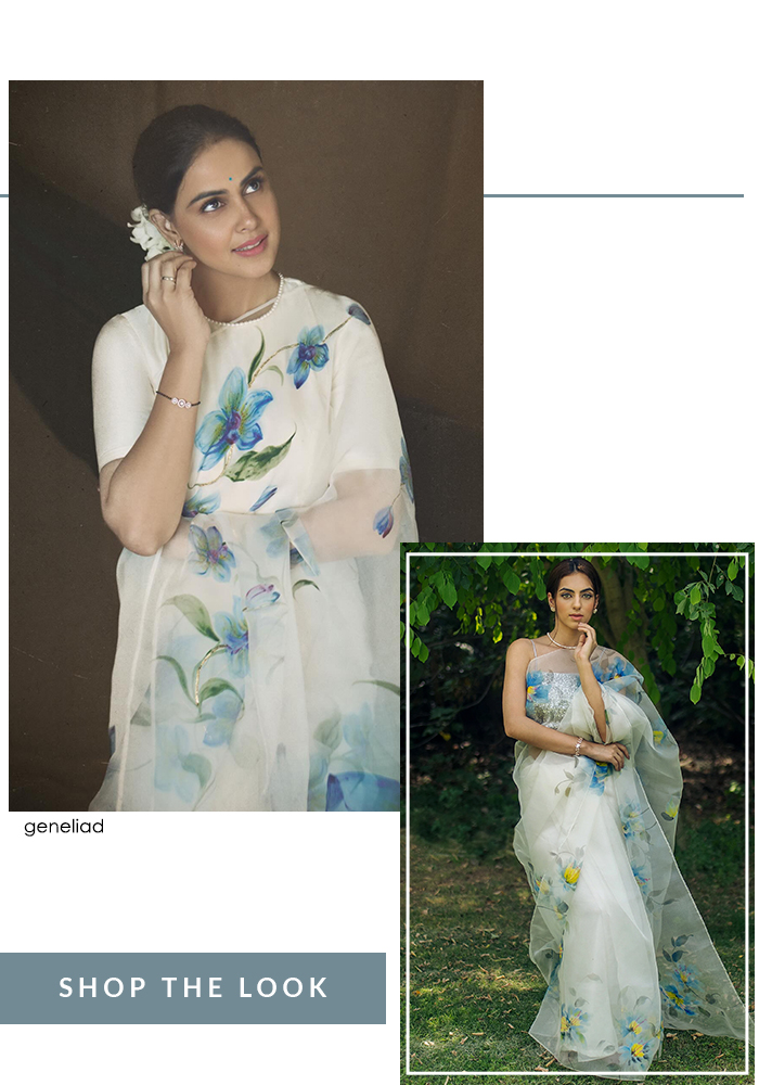 Genelia Deshmukh in Picchika handpainted saree