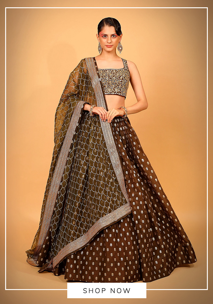 Neha Khullar brown banarasi organza lehenga