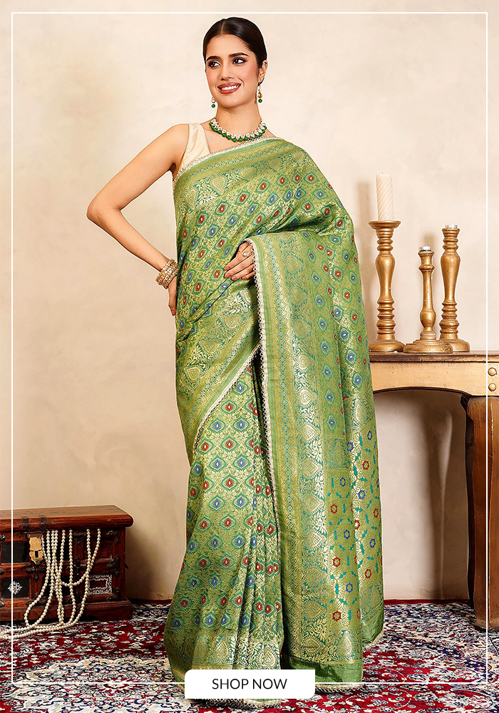 Banarasi meenakari saree
