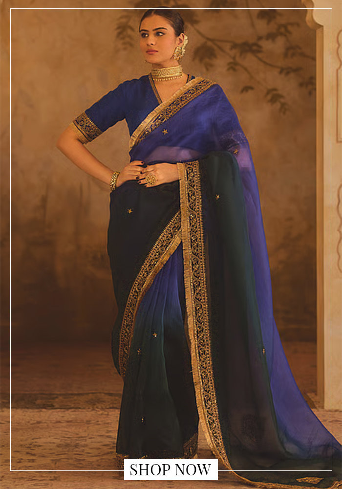 Organza Sarees 