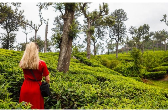 What to Wear in Kerala