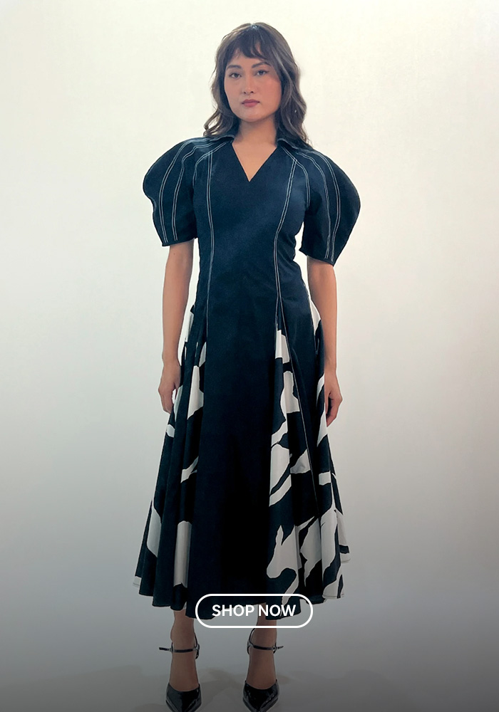 The Printed Midi Dress