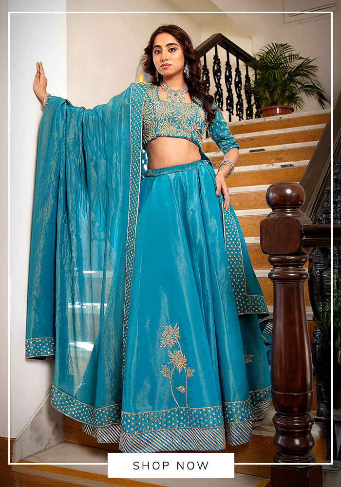 Blue light embroidered lehenga set