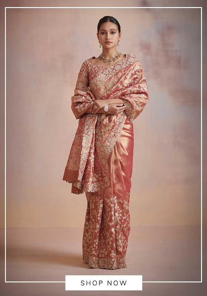 Suhino'a aari work saree