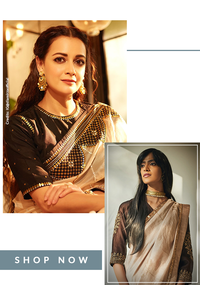 Dia Mirza in Priyal Prakash beige saree and brown blouse