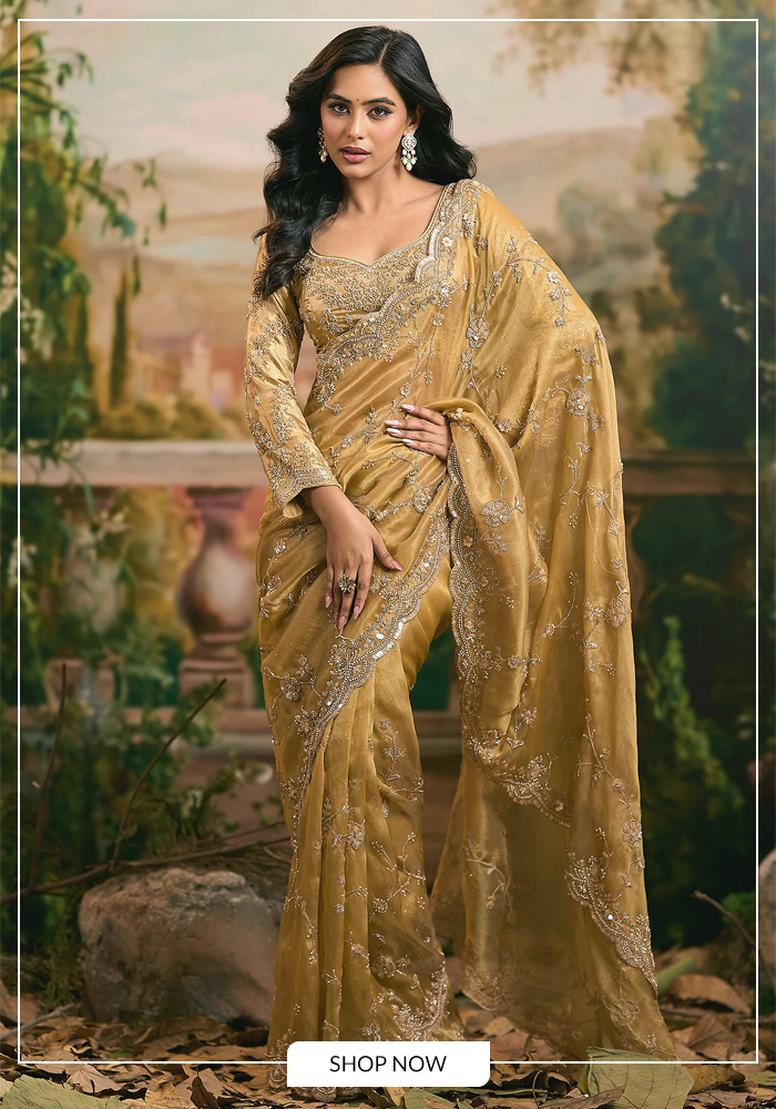 Embroidered zardozi embroidered saree for wedding
