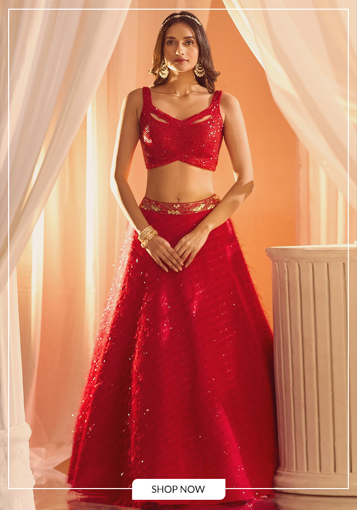 Feather lehenga and embellished blouse for reception