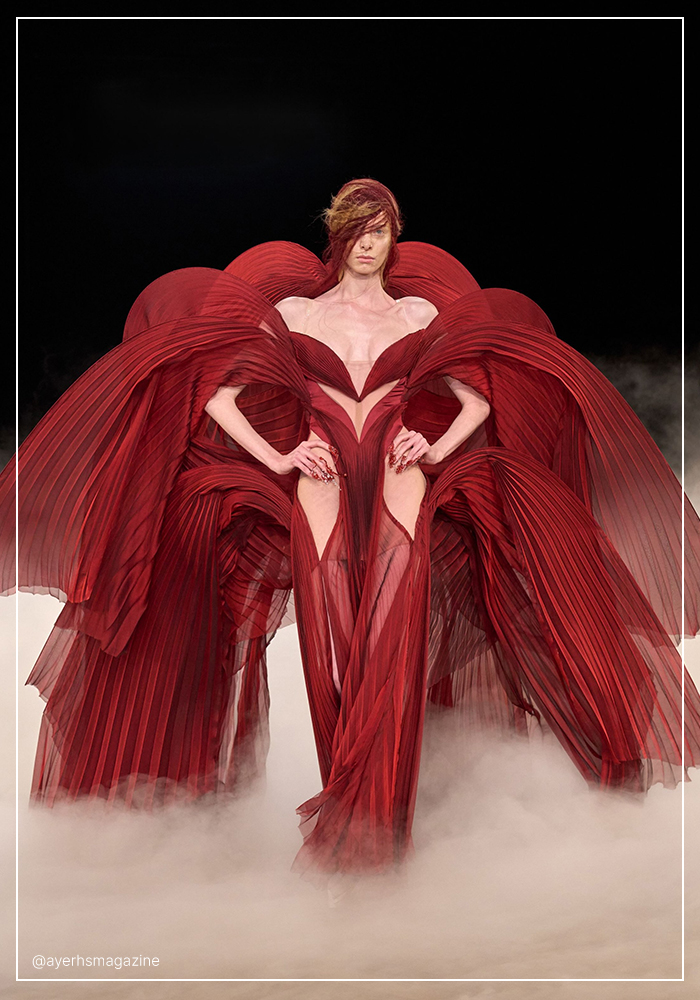 Iris Van Herpen outfit