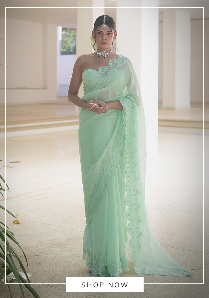 Pooja Bagaria mint green organza saree