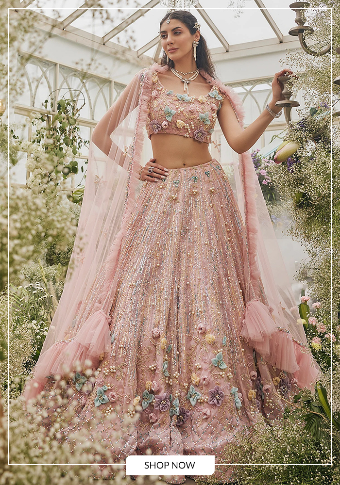 Baya 3D floral applique floral lehenga
