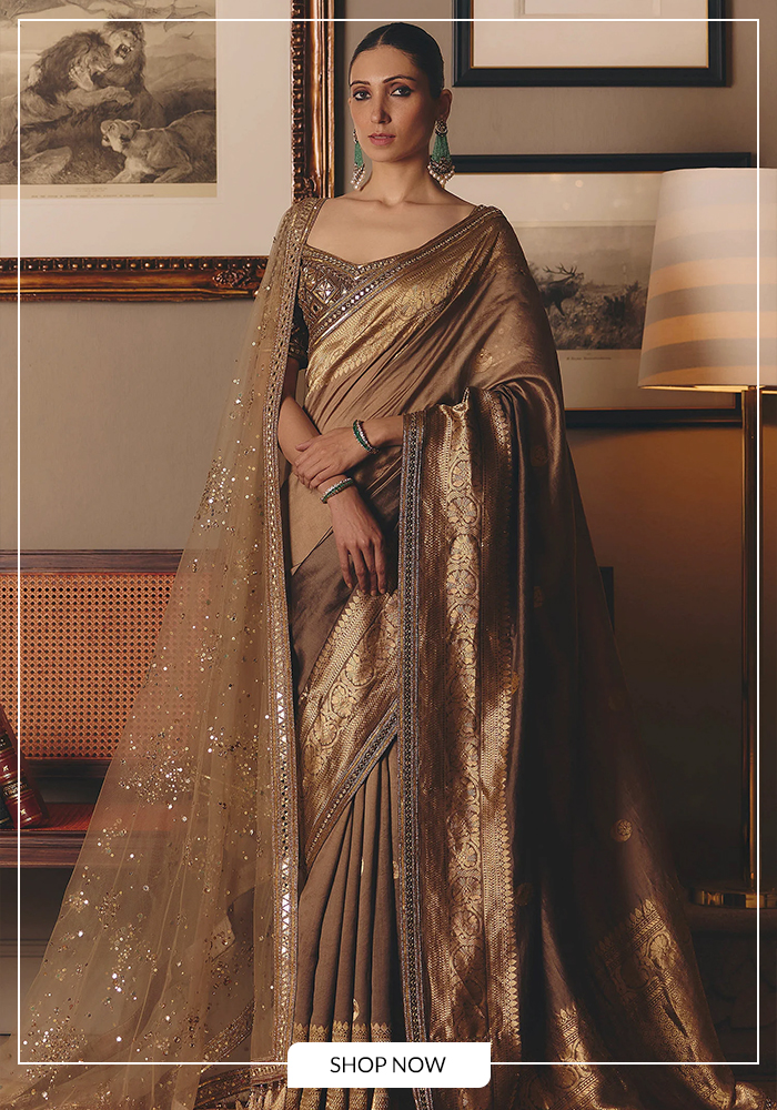 Brown and gold saree