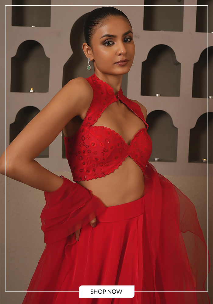 Embroidered cutwork blouse and lehenga set