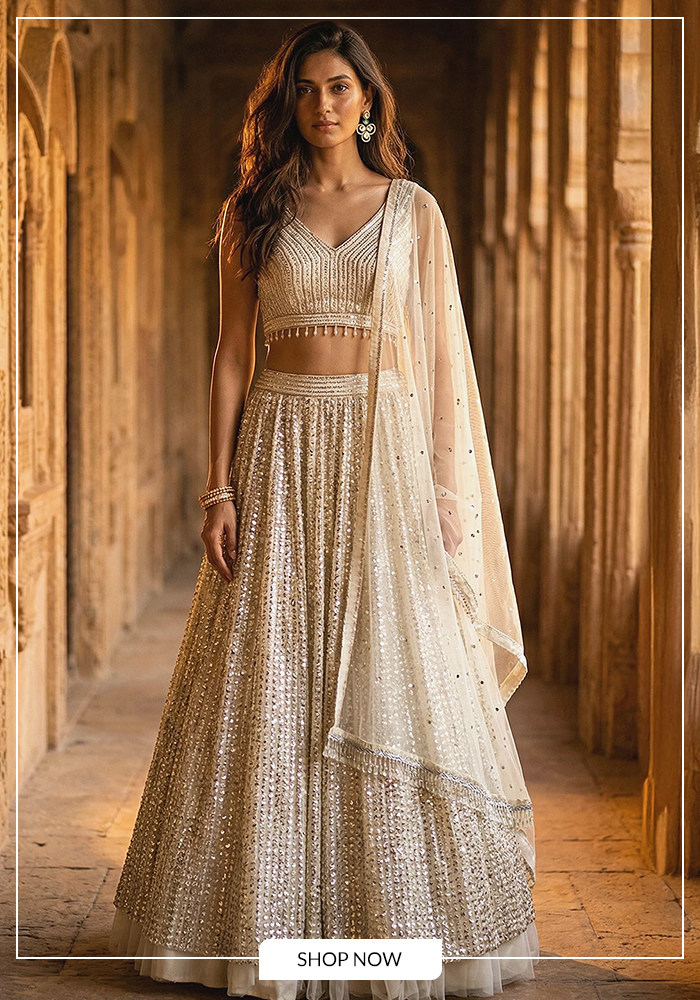 V neck sequin work lehenga set