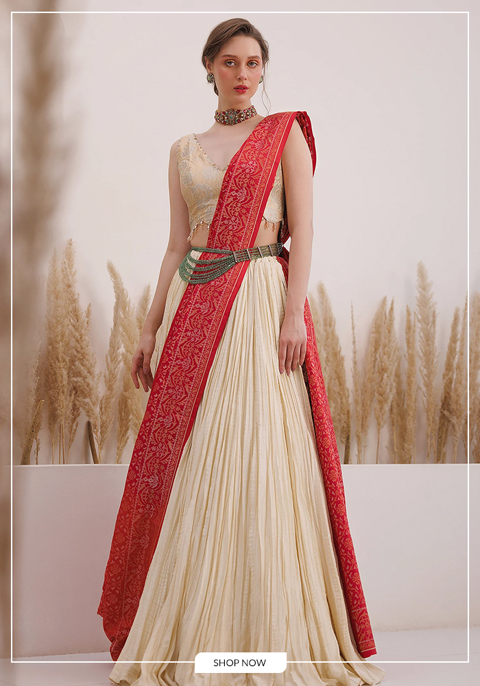 Jamdani Contemporary Saree Skirt Set