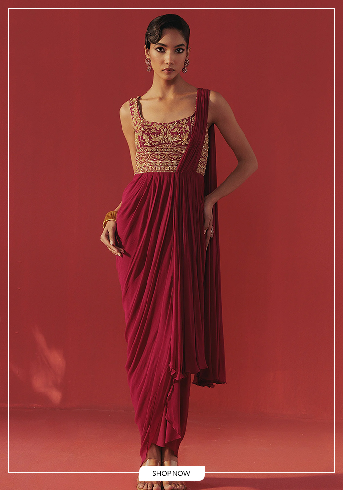 Modern Saree Gown