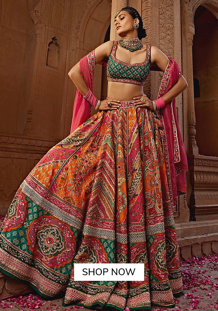 Multi-Colored Printed Lehenga