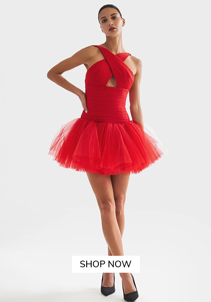 Red drop waist net dress with corset bodice