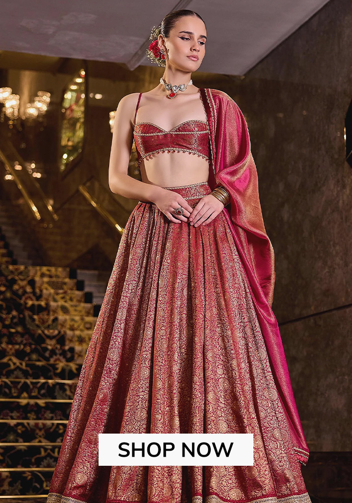 Sleek Contemporary Lehenga